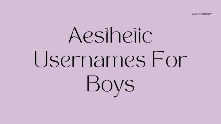 200+ Aesthetic Usernames for Boys – Names Buddy