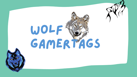80+ Wolf Gamertags List – NamesBuddy