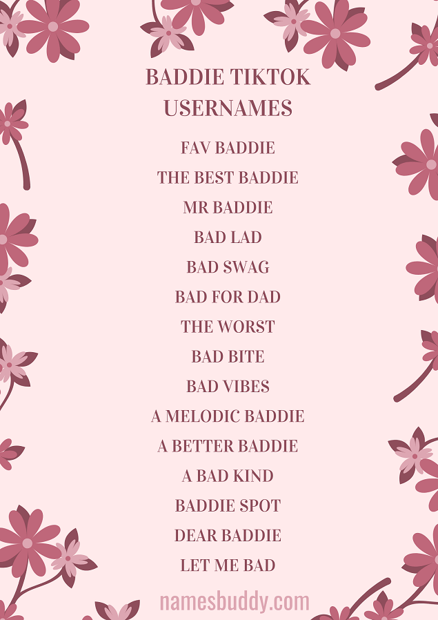100 Baddie Usernames For TikTok NamesBuddy