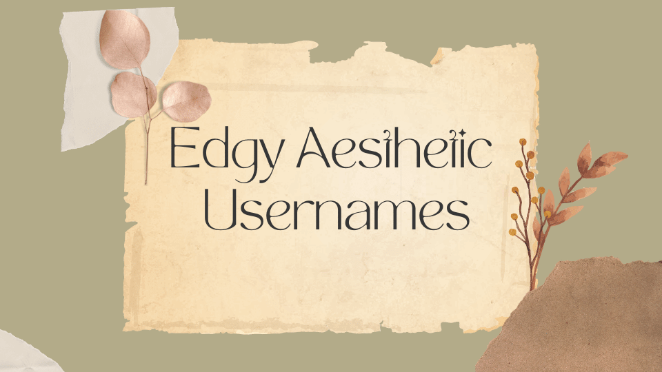 700 Edgy Aesthetic Usernames List – NamesBuddy