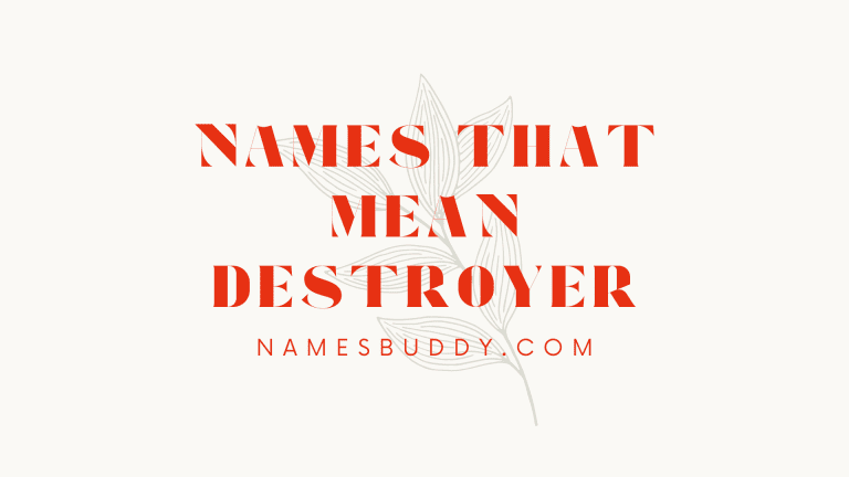 24 Names That Mean Destroyer – NamesBuddy