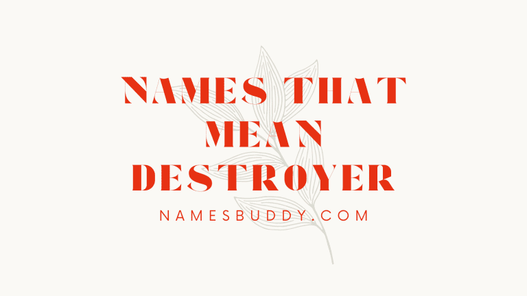 Names that mean destroyer