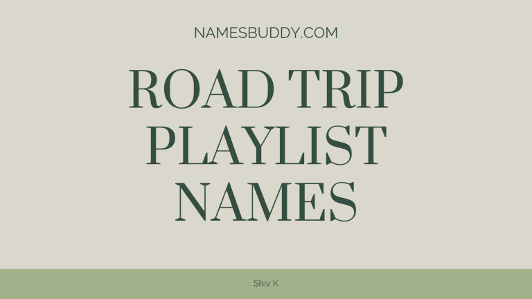 200+ Cool Road Trip Playlist Names – NamesBuddy