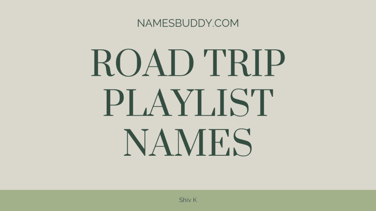 road trip playlist names