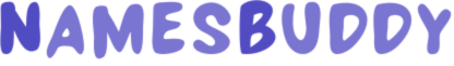 namesbuddy logo