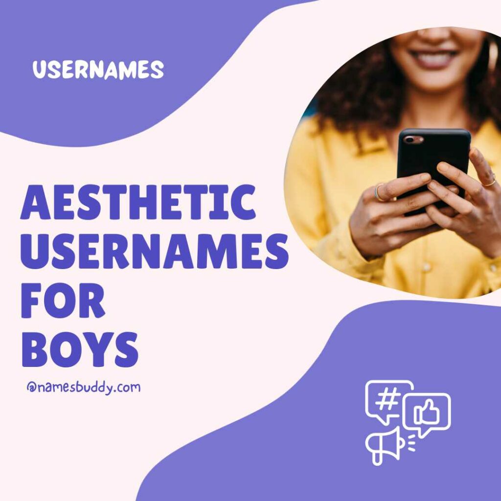 aesthetic usernames for boys