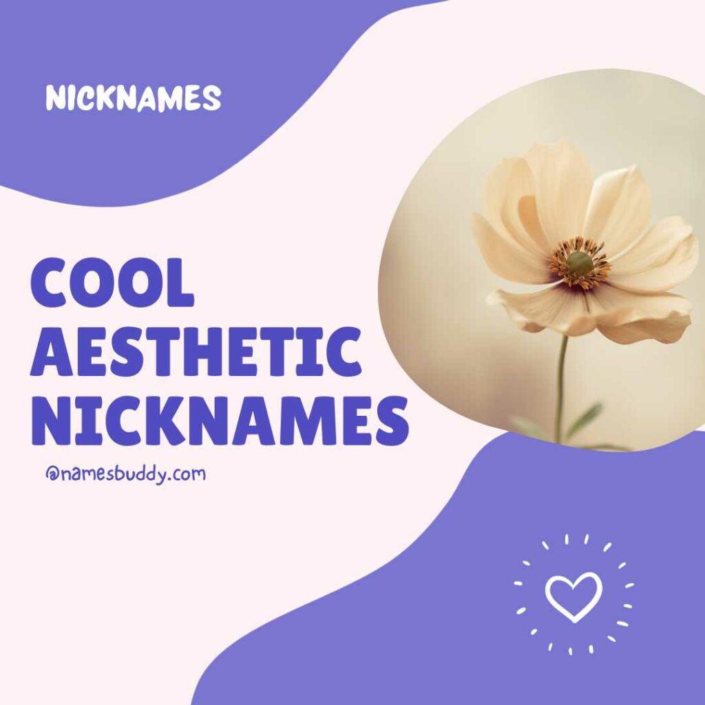aesthetic nicknames