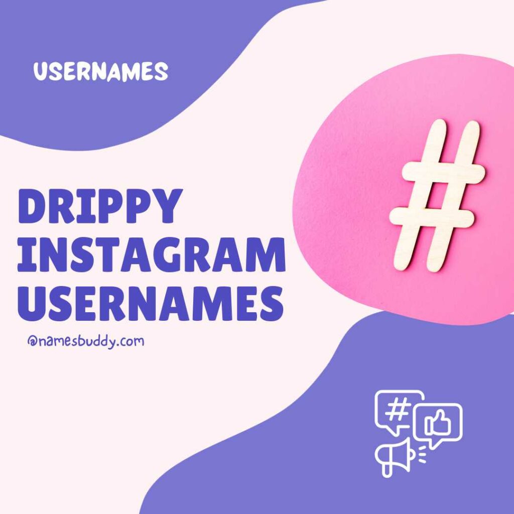 drippy Instagram usernames