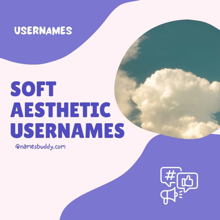 210+ Best Soft Aesthetic Usernames for You - NamesBuddy