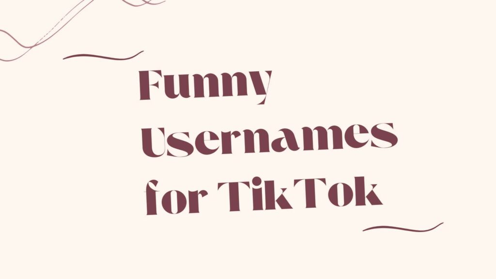 Funny usernames for TikTok