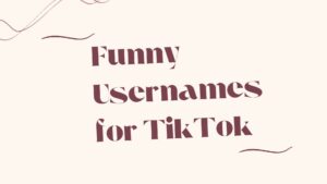100 Cool TikTok Usernames For Girls