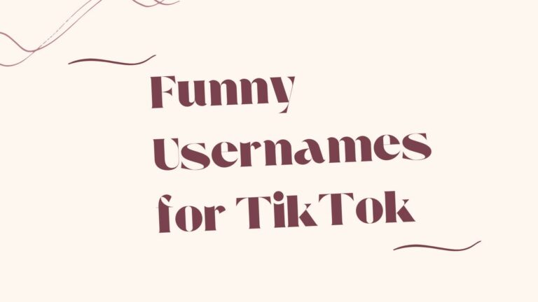 Funny usernames for TikTok