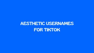 100 Cool TikTok Usernames For Girls
