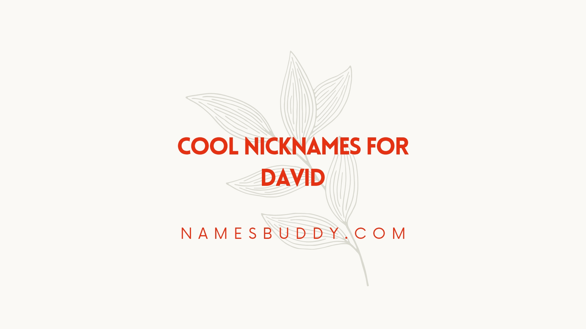100 Cool Nicknames For David