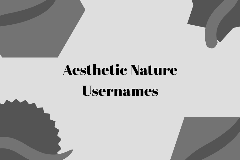 100 Aesthetic Nature Usernames