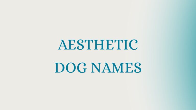 100 Aesthetic Dog Names