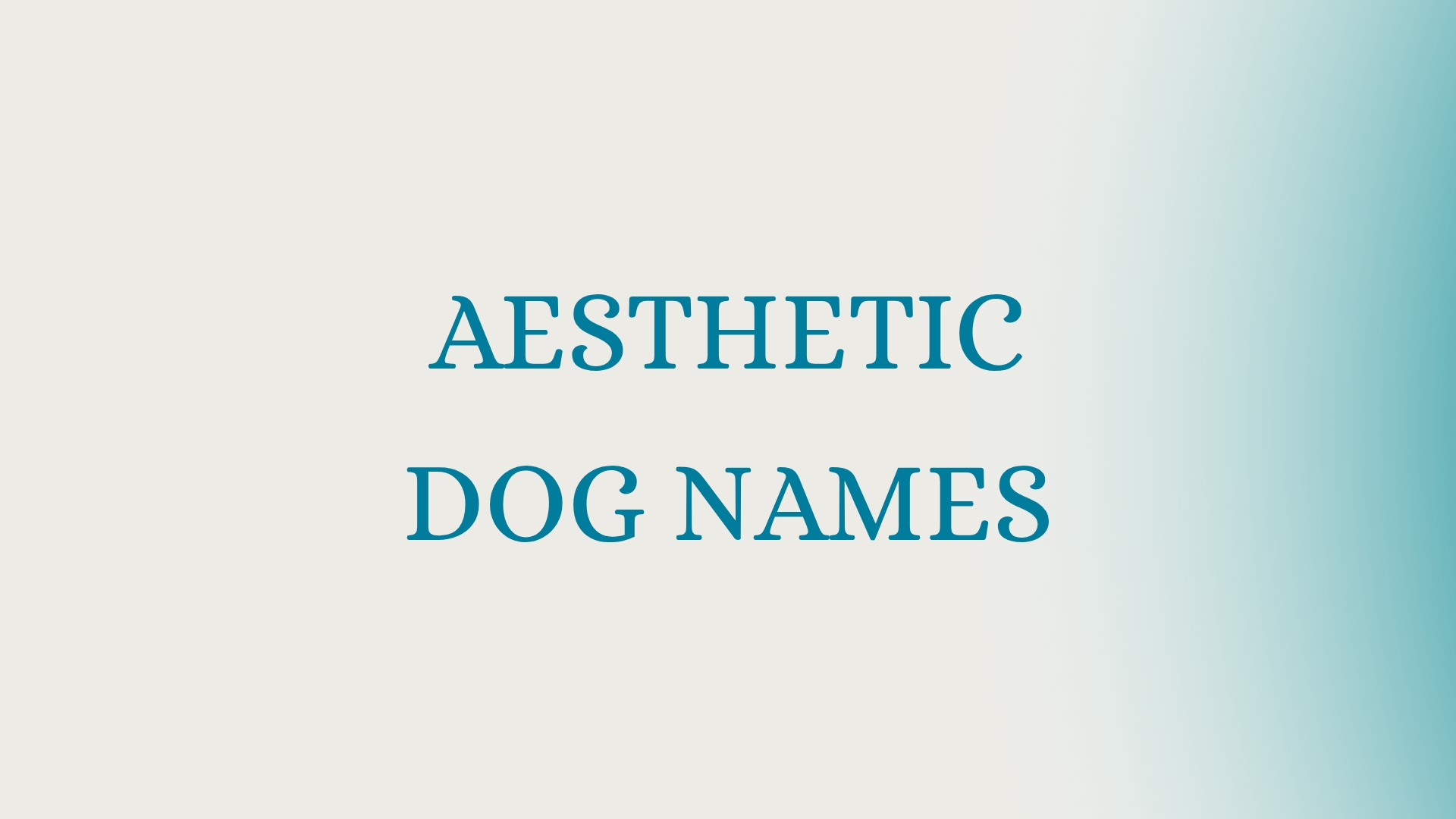 100 Aesthetic Dog Names