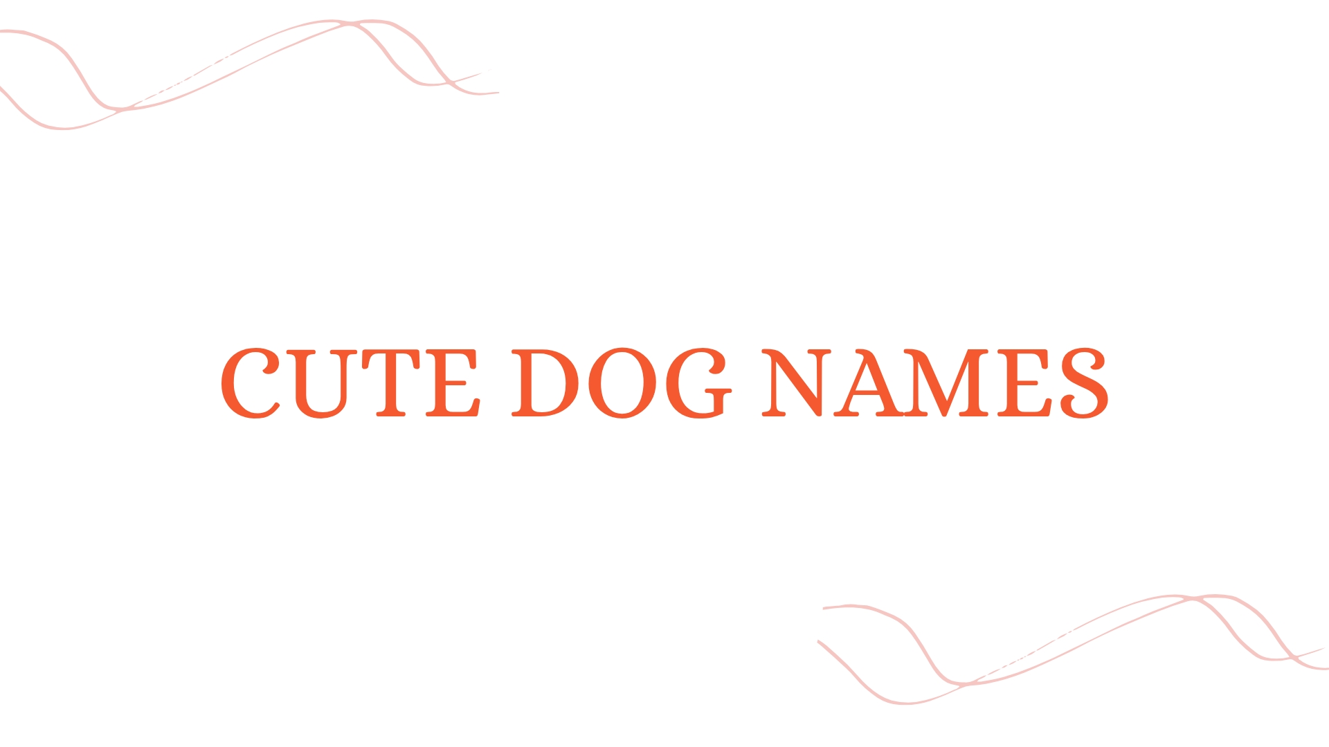 100 Cute Dog Names