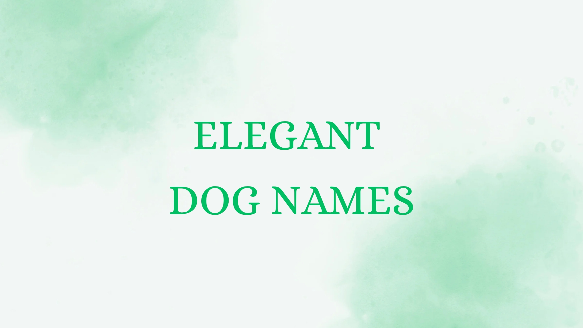 100 Elegant Dog Names
