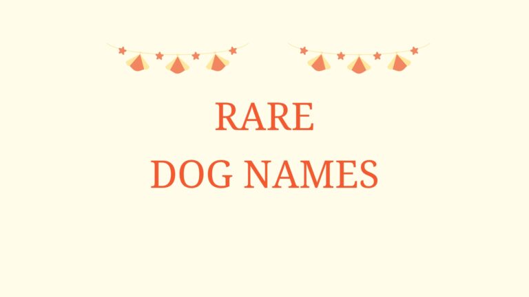 100 Rare Dog Names