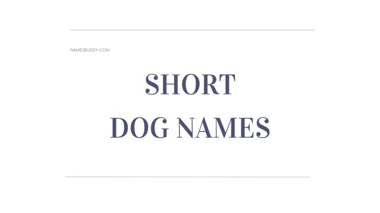 100 Short Dog Names