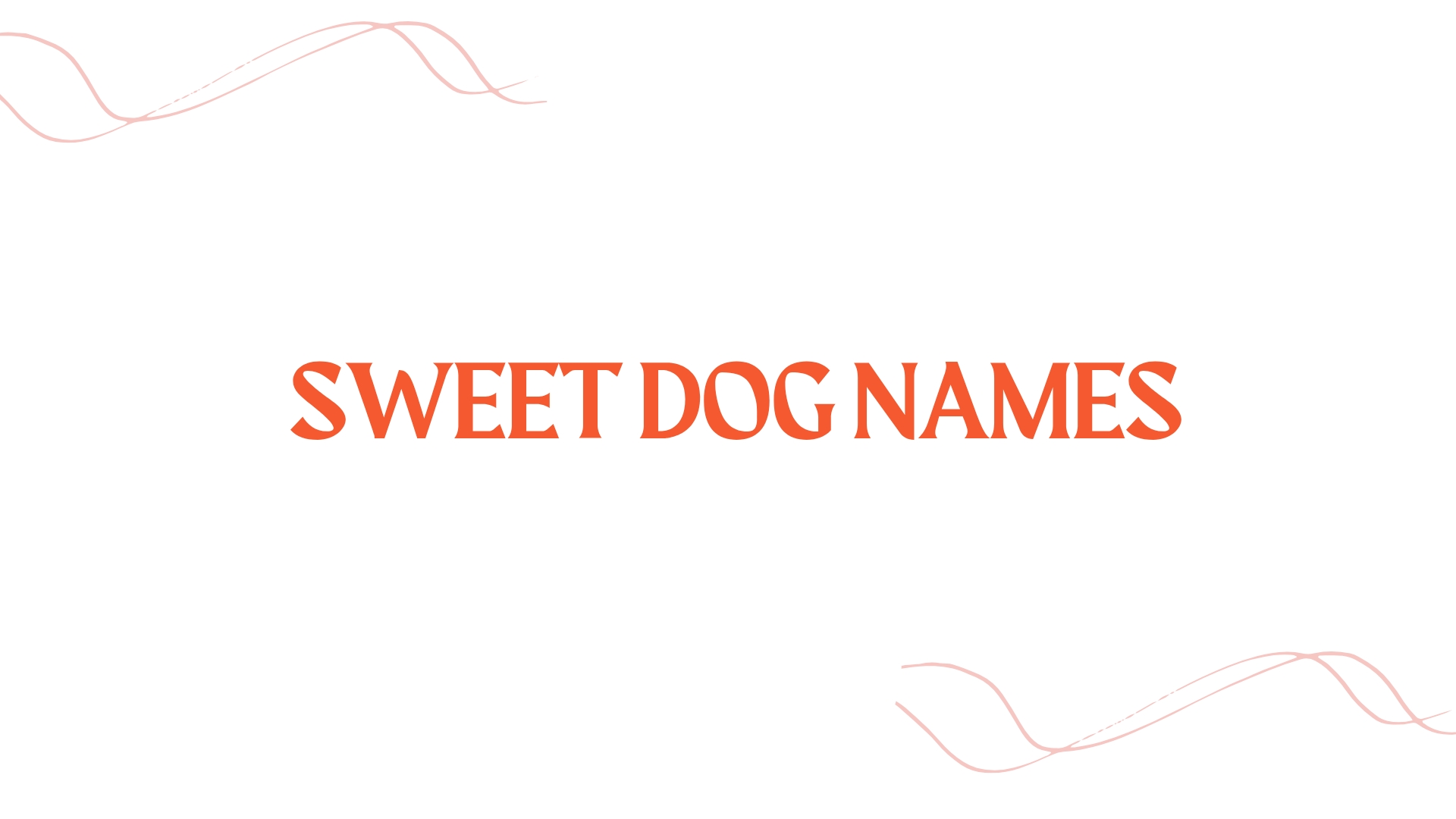 100 Sweet Dog Names