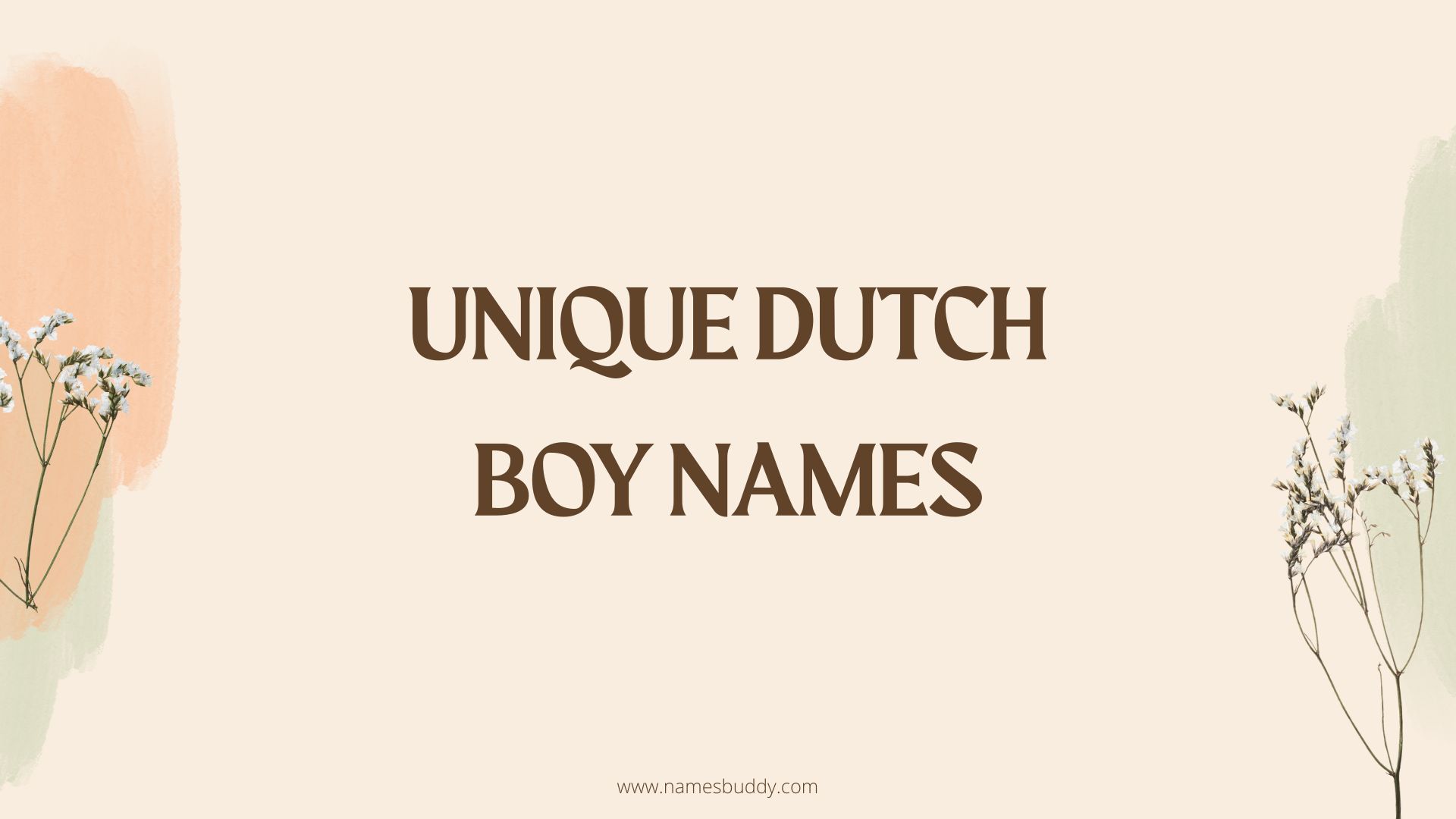 100 Unique Dutch Boy Names