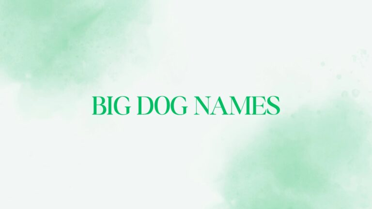 100 Big Dog Names