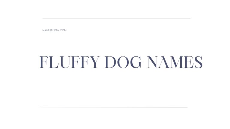 100 Fluffy Dog Names