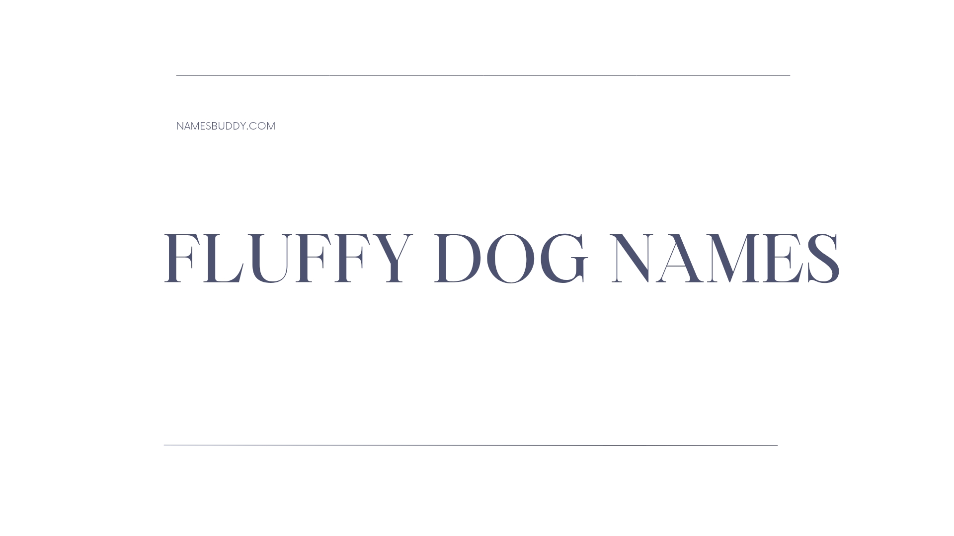 100 Fluffy Dog Names
