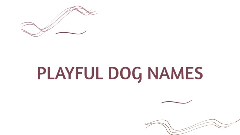 100 Playful Dog Names