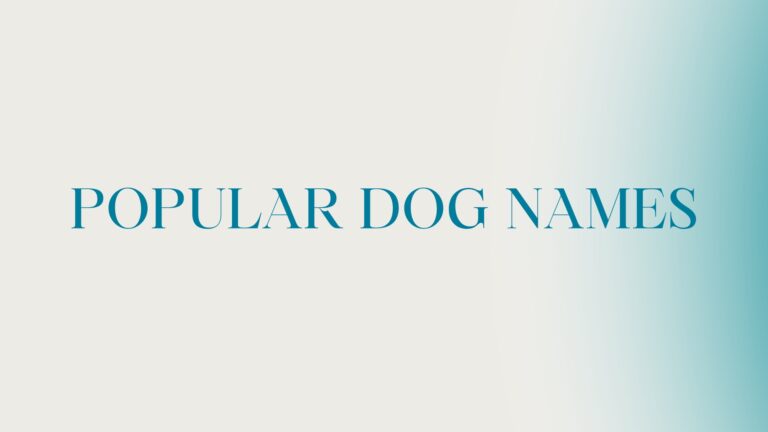 100 Popular Dog Names