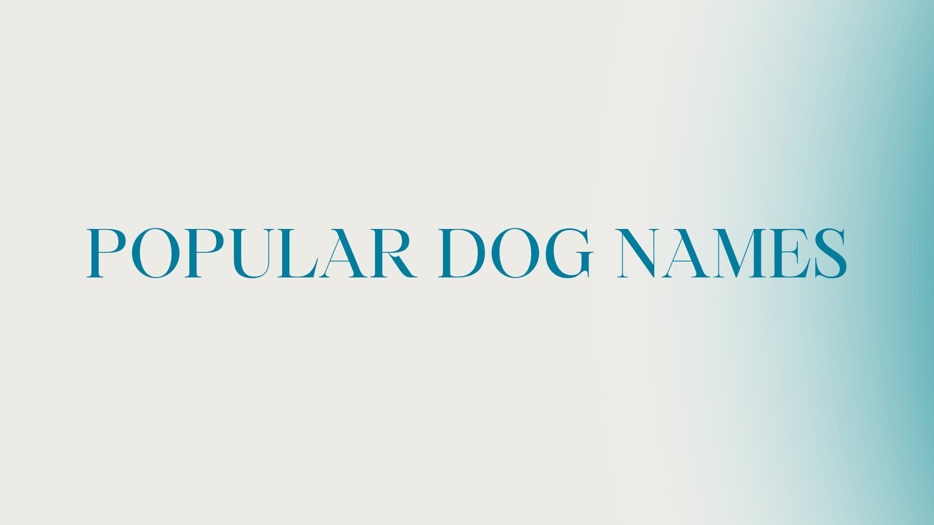 100 Popular Dog Names