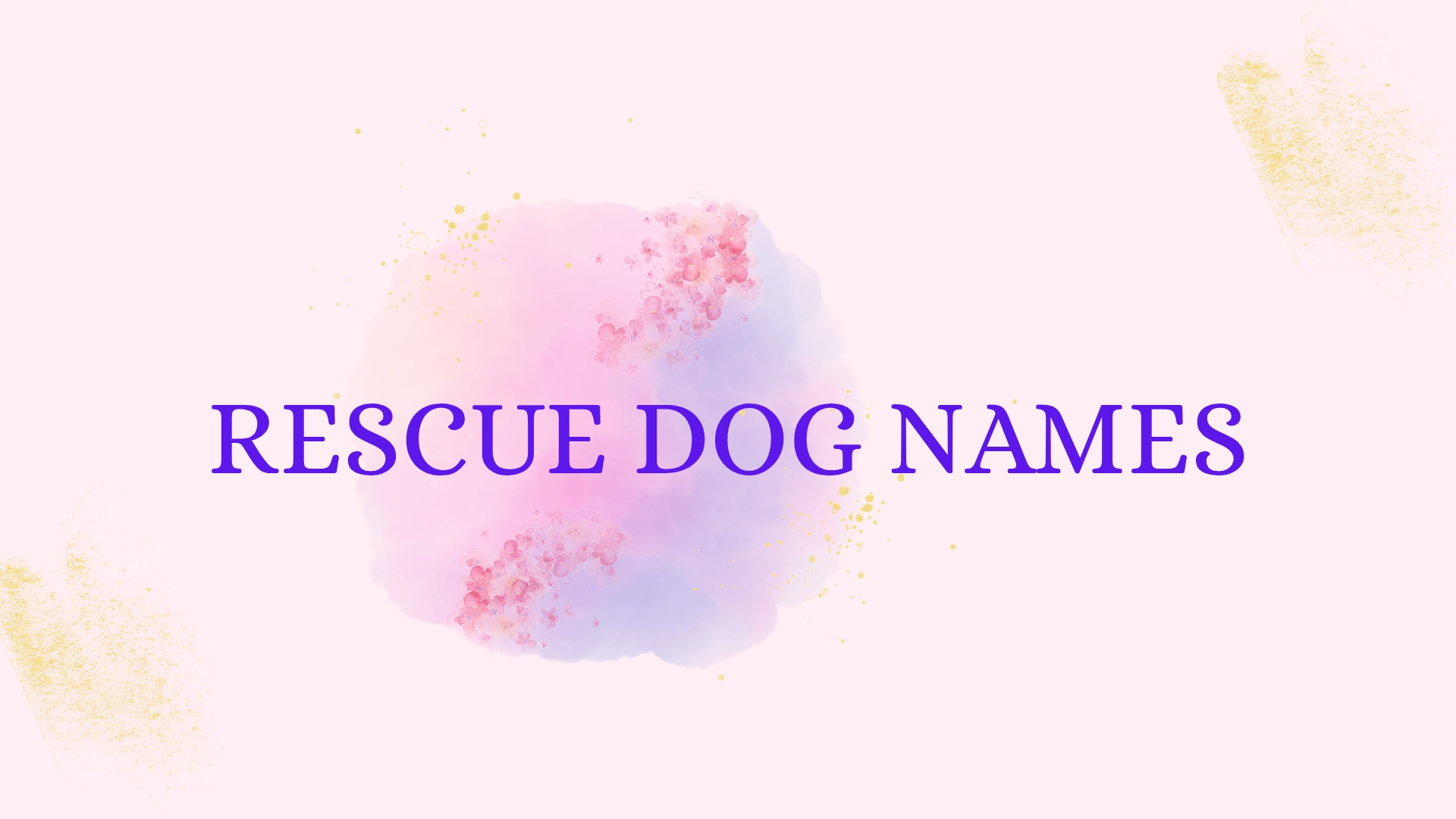 100 Rescue Dog Names