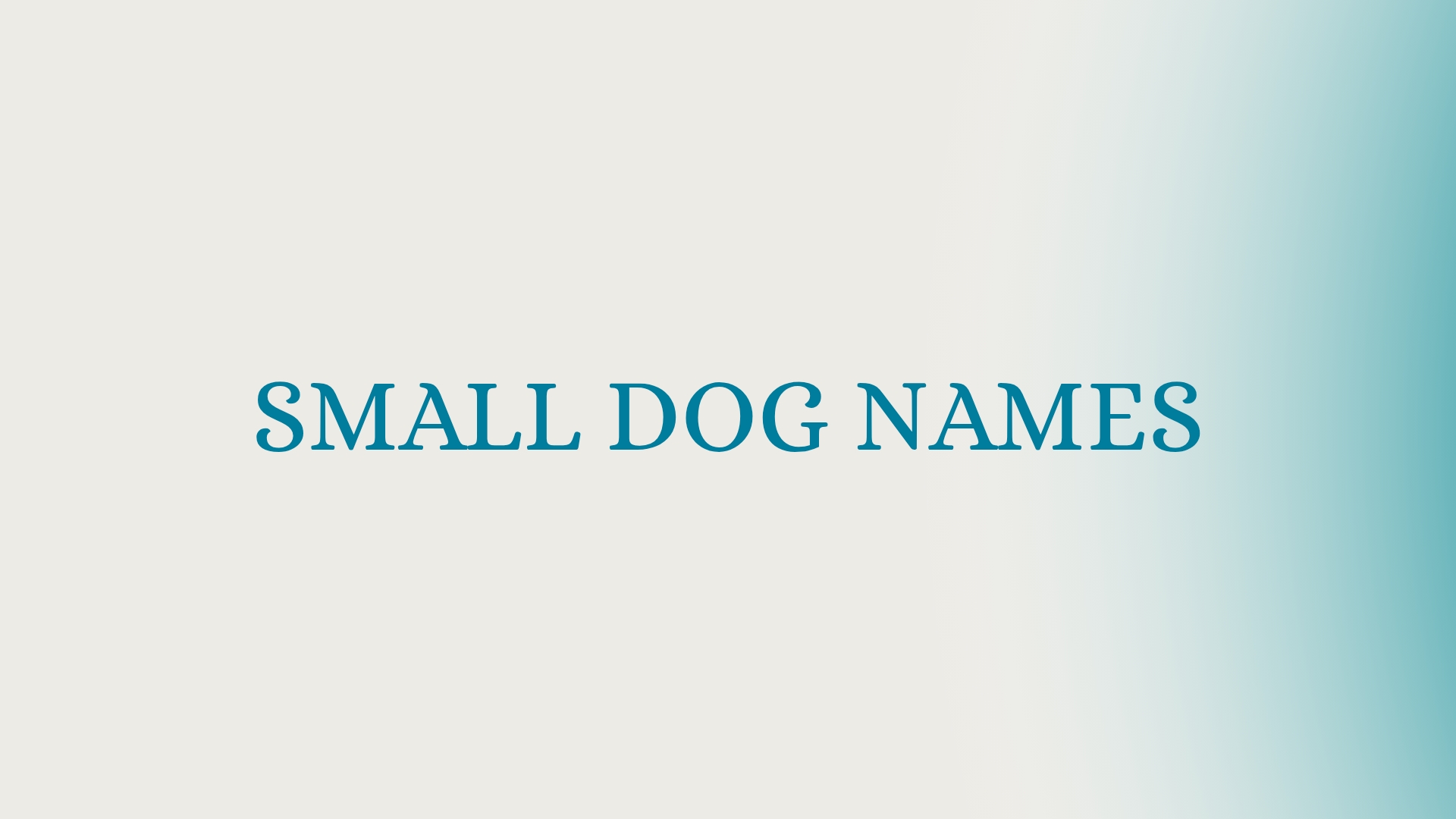100 Small Dog Names