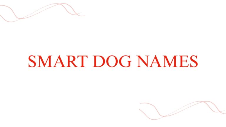 100 Smart Dog Names