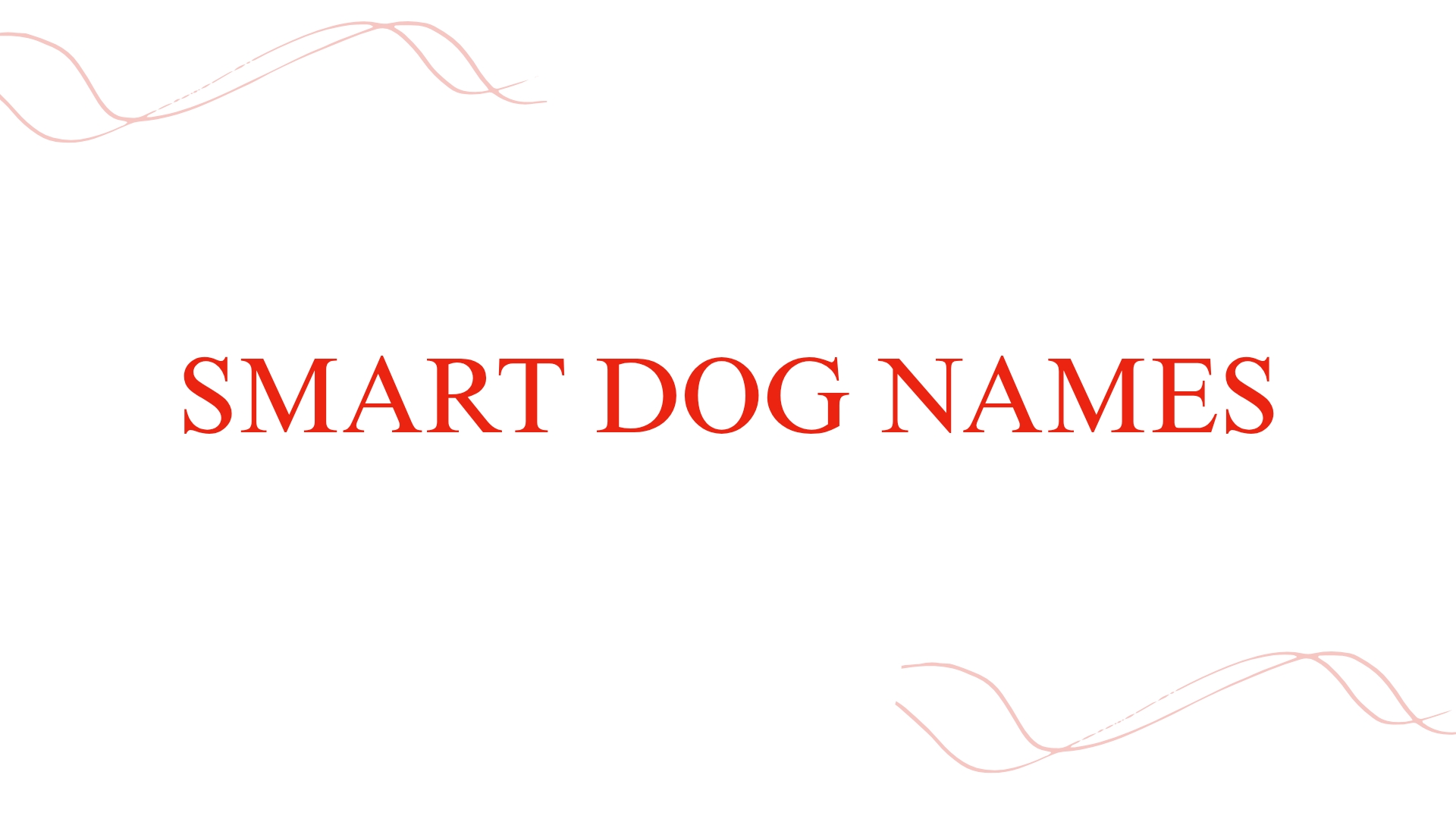 100 Smart Dog Names