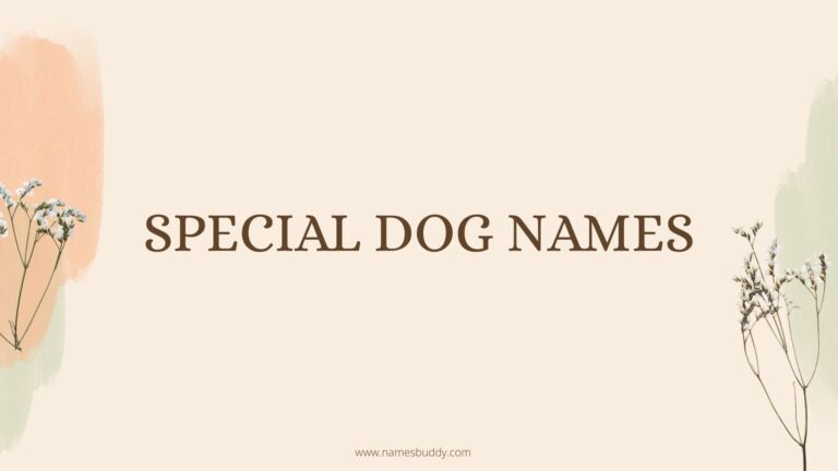 100 Special Dog Names