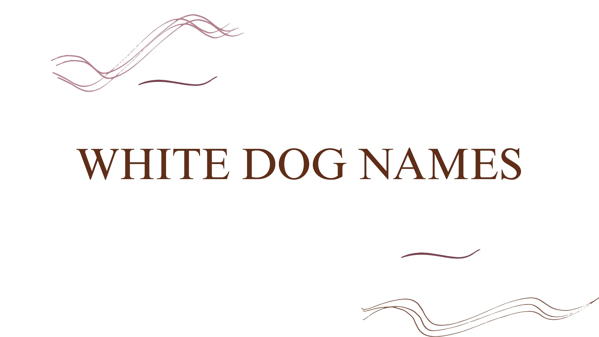 100 White Dog Names