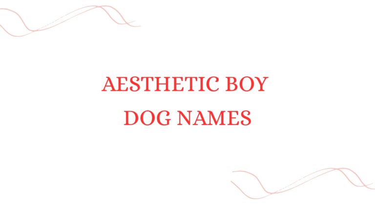 100 Aesthetic Boy Dog Names