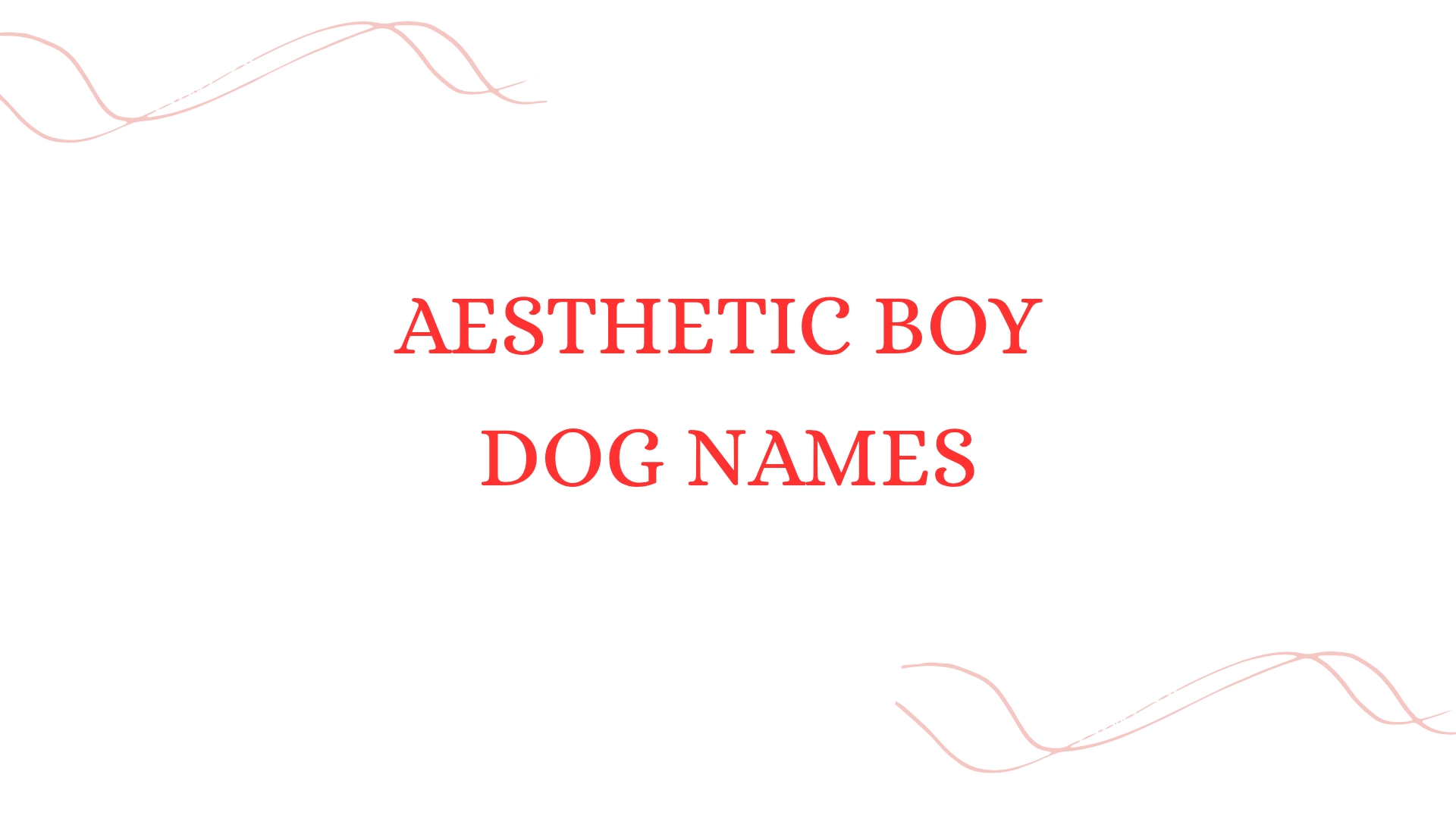 100 Aesthetic Boy Dog Names