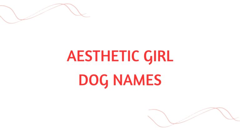 100 Aesthetic Girl Dog Names