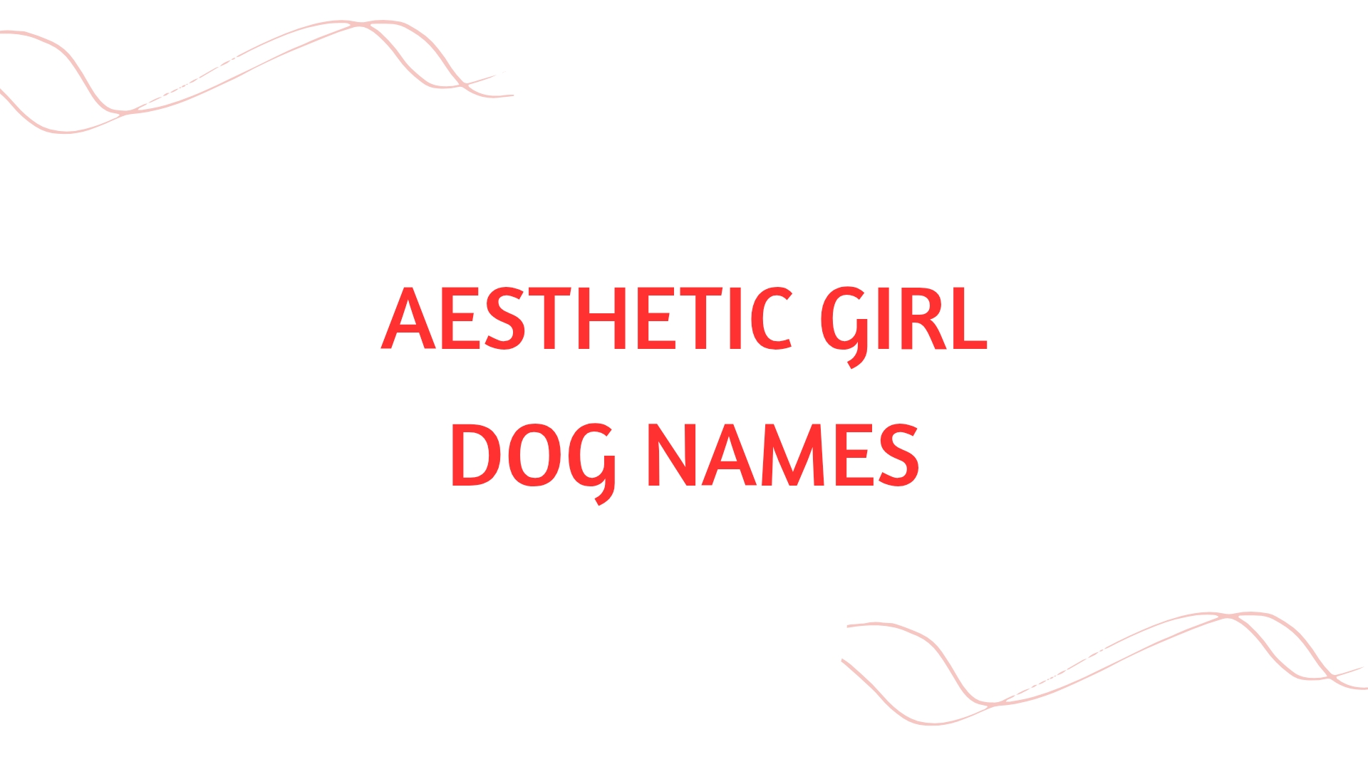 100 Aesthetic Girl Dog Names