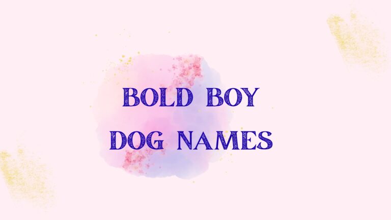 100 Bold Boy Dog Names