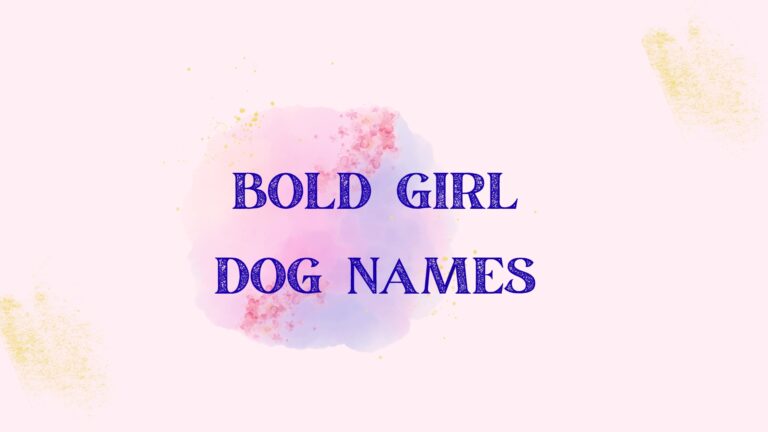 100 Bold Girl Dog Names
