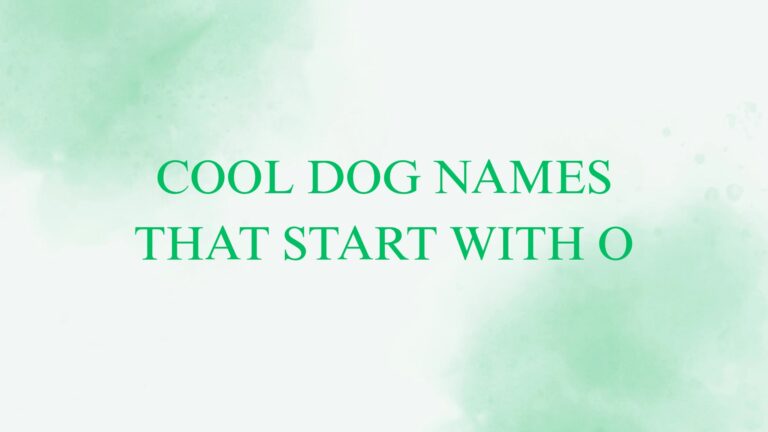 100 Cool Dog Names That Start With O