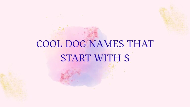 100 Cool Dog Names That Start With S