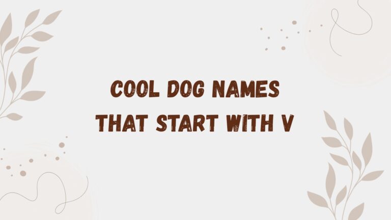 100 Cool Dog Names That Start With V