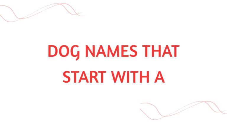 100 Cool Dog Names That Start With A
