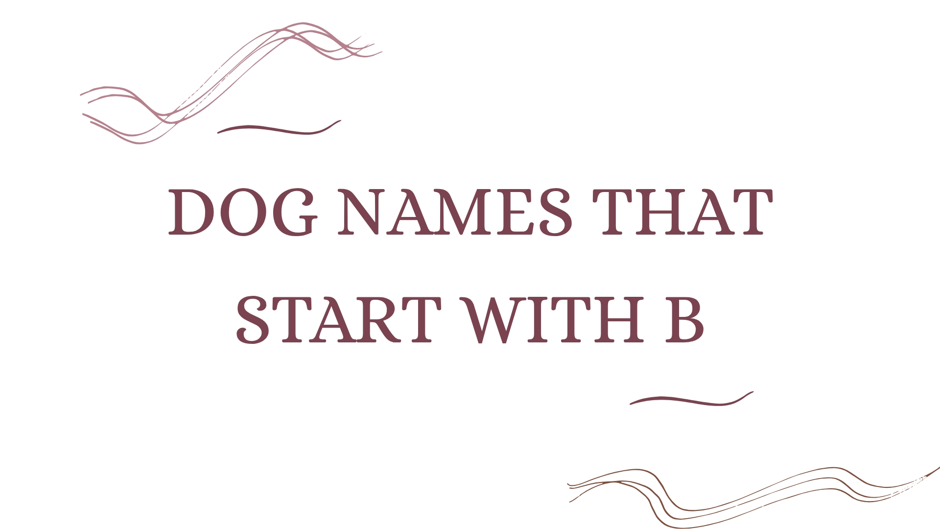 100 Unique Dog Names That Start With B